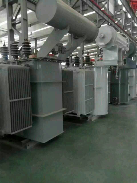 兴和S11-6300KVA油浸式变压器